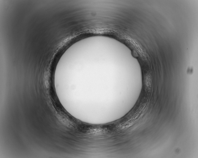 X0000103490540200810031608