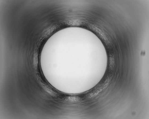 X0000103490541200810031608