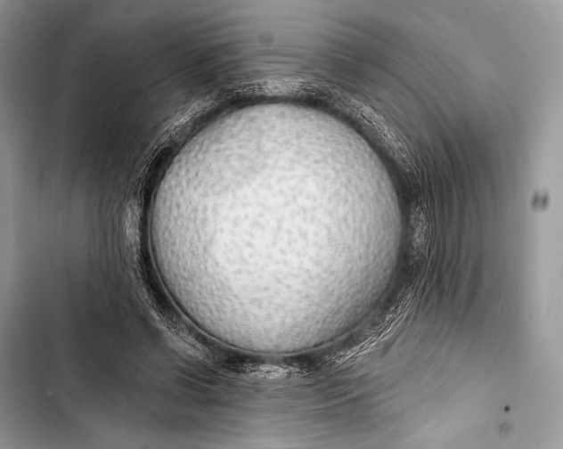 X0000103490542200810031608