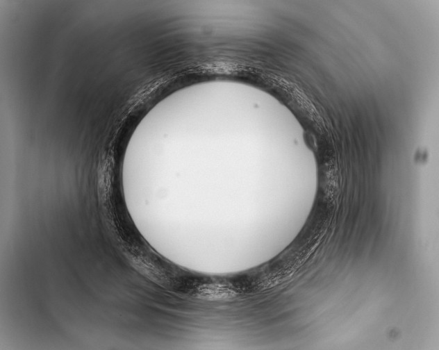 X0000103490544200810031608