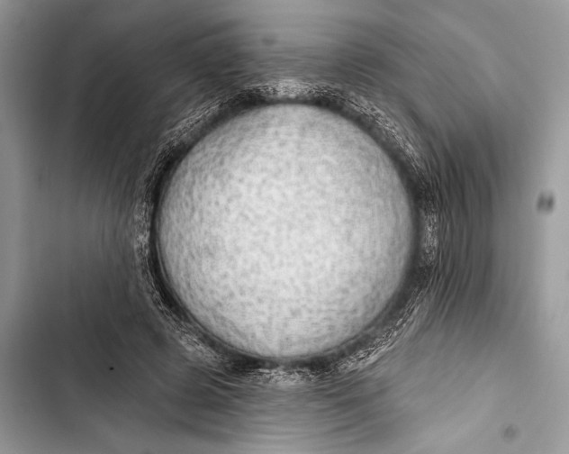 X0000103490545200810031608