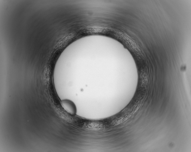 X0000103490546200810031608