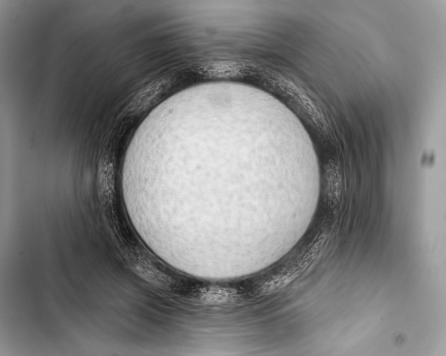 X0000103490549200810031608