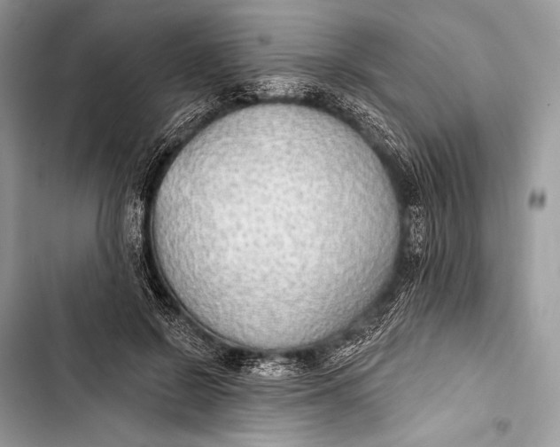 X0000103490550200810031608