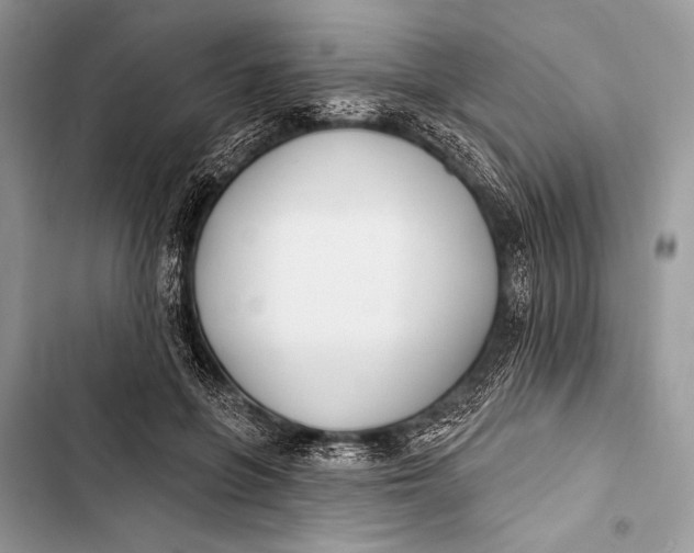 X0000103490551200810031608