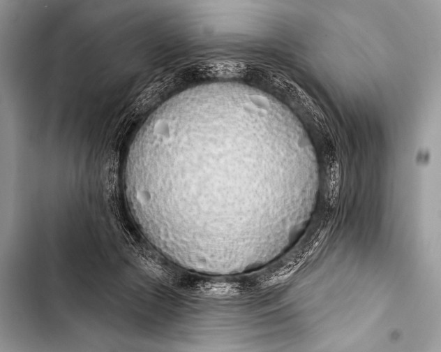 X0000103490553200810031608