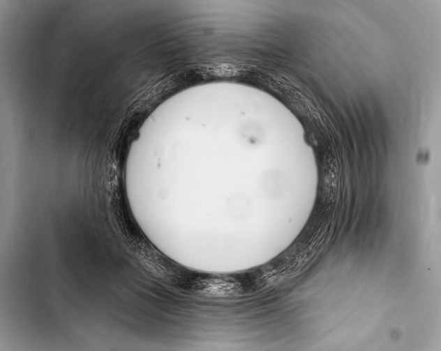 X0000103490555200810031608