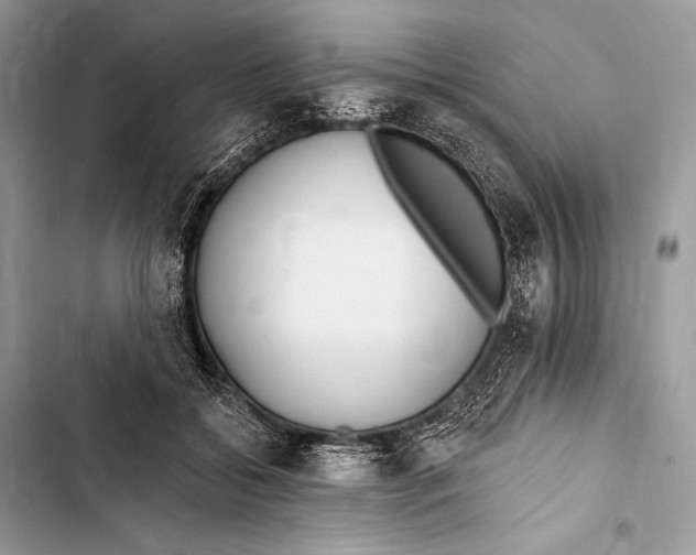 X0000103490556200810031608