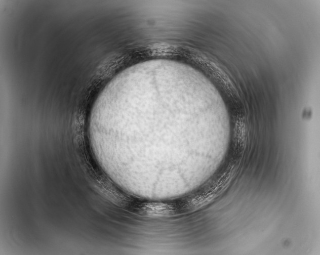 X0000103490557200810031608