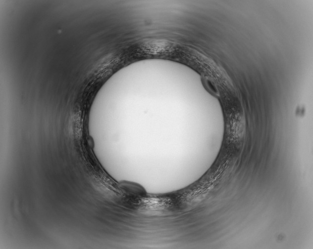 X0000103490558200810031608