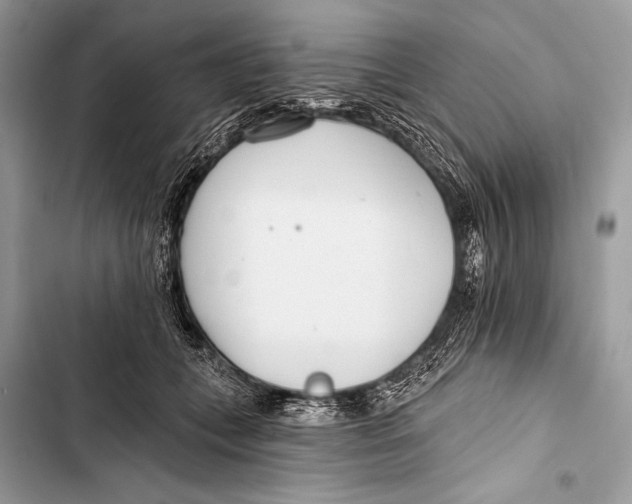 X0000103490559200810031608