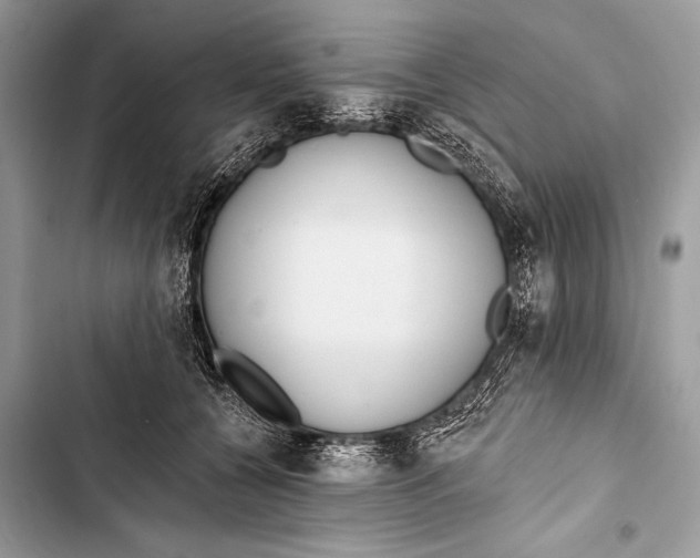 X0000103490560200810031608