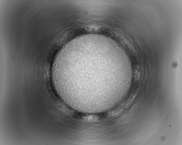 X0000103490561200810031608