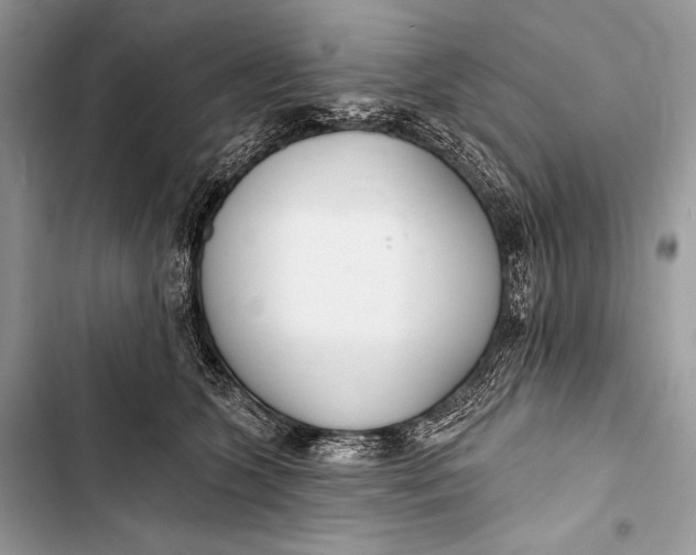 X0000103490563200810031608