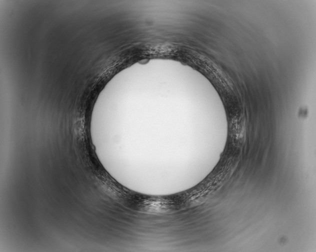 X0000103490564200810031608