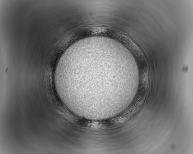 X0000103490565200810031608