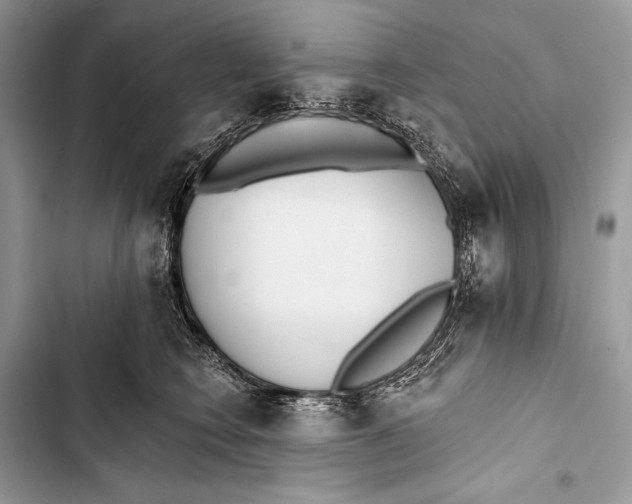 X0000103490566200810031608