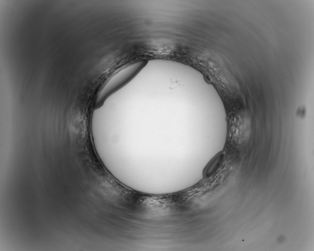 X0000103490568200810031608