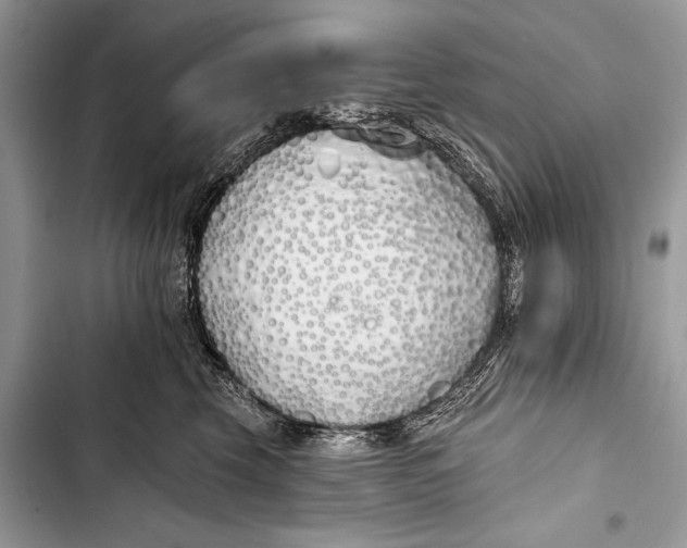 X0000103490569200810031608