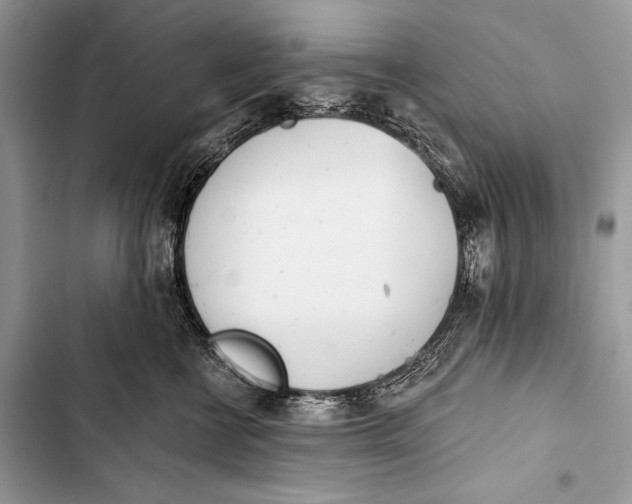 X0000103490570200810031608