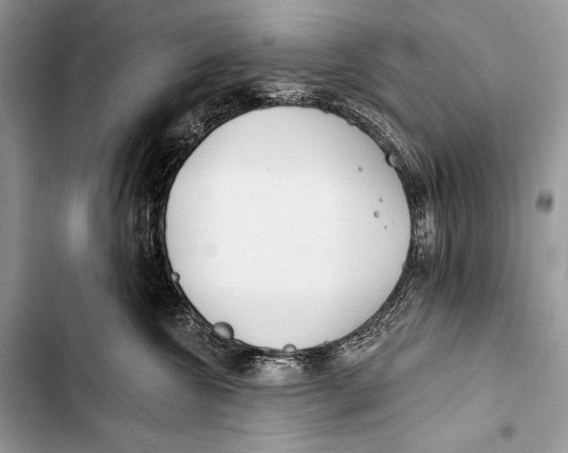 X0000103490572200810031608