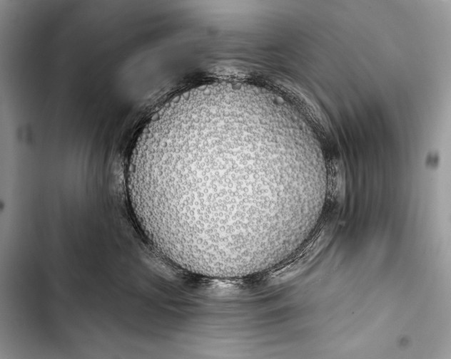 X0000103490573200810031608