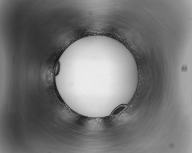 X0000103490576200810031608