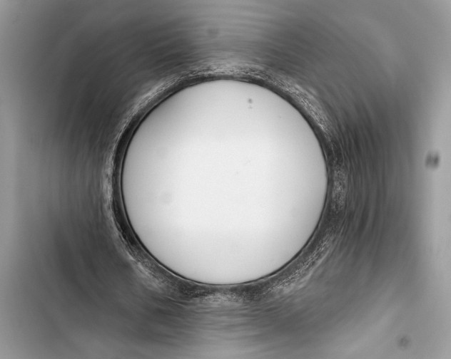 X0000103490578200810031607