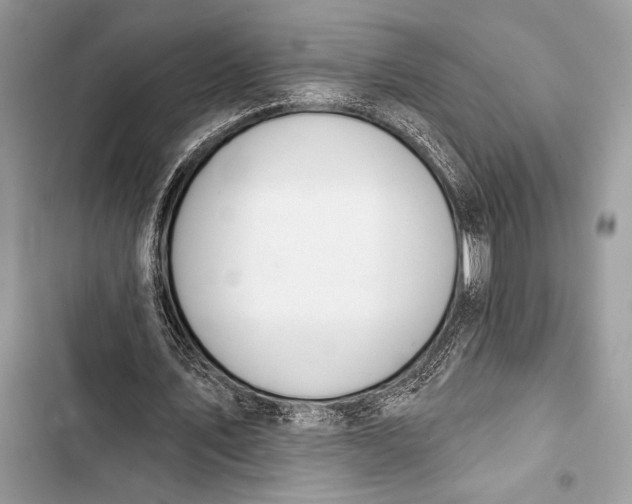 X0000103490579200810031607