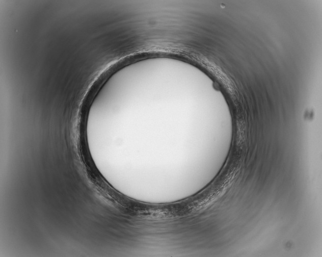 X0000103490580200810031607