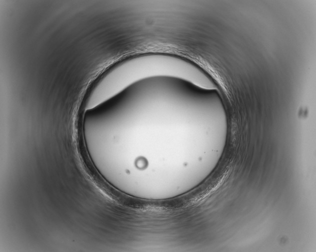 X0000103490581200810031607