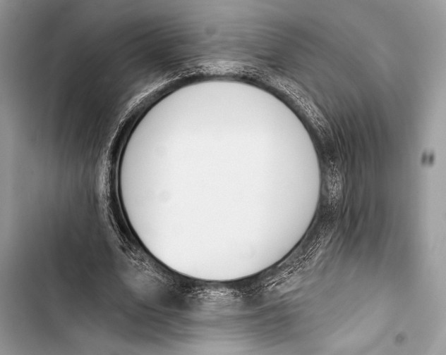 X0000103490583200810031607