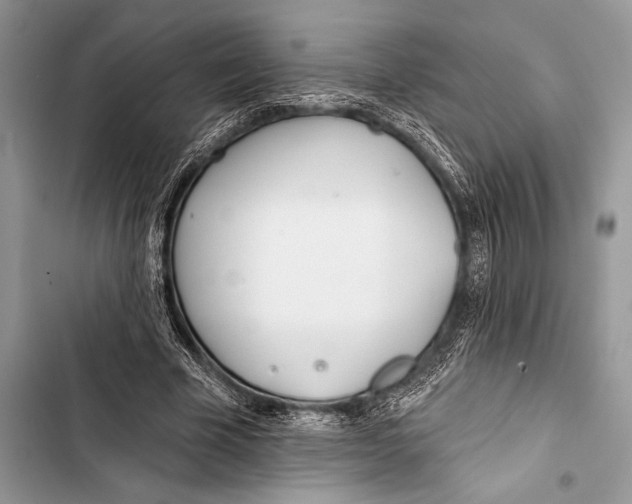 X0000103490585200810031607