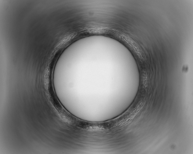 X0000103490586200810031607