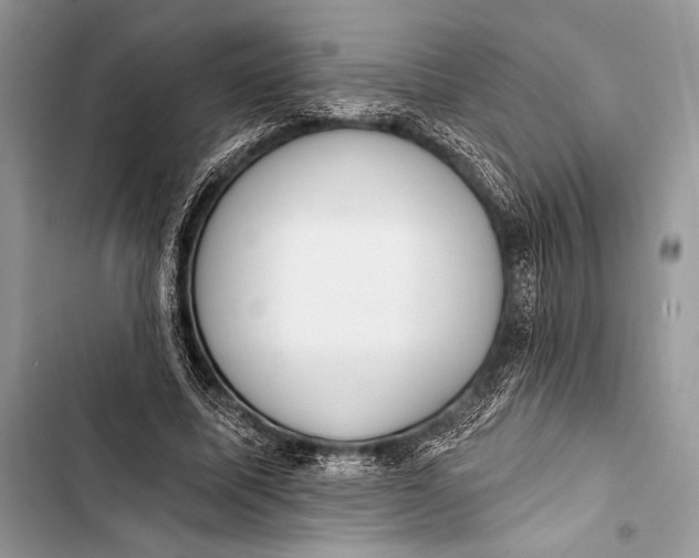 X0000103490587200810031607