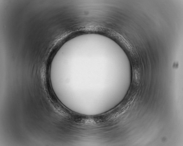 X0000103490588200810031607