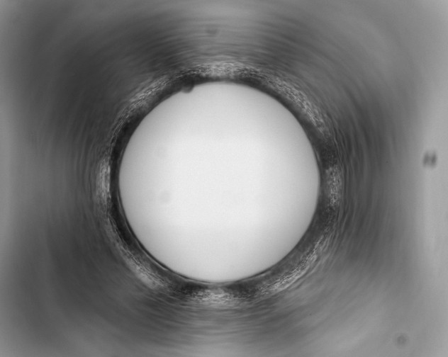 X0000103490589200810031607