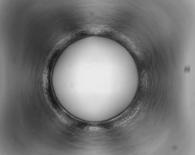 X0000103490590200810031607