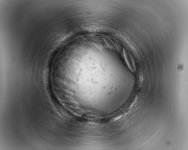 X0000103490592200810031607