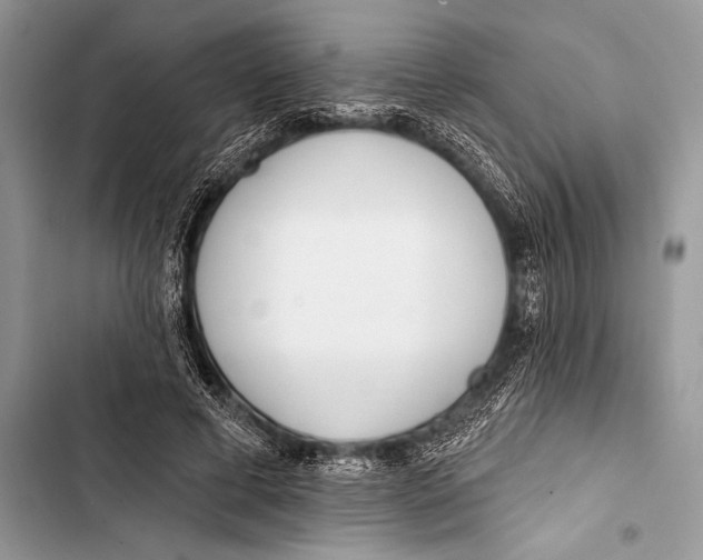 X0000103490593200810031607