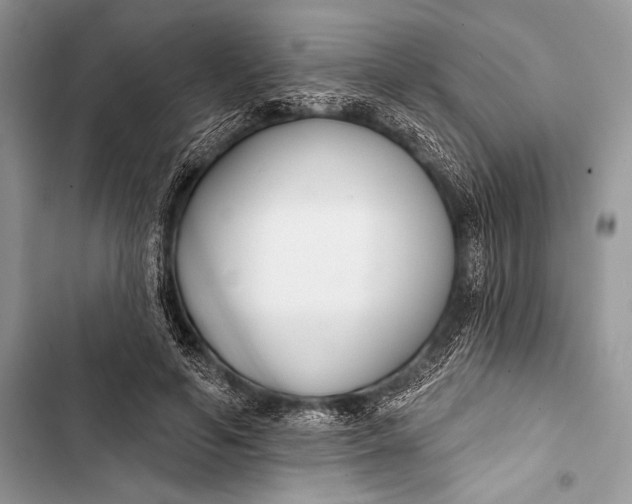 X0000103490594200810031607