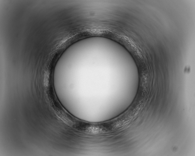 X0000103490596200810031607