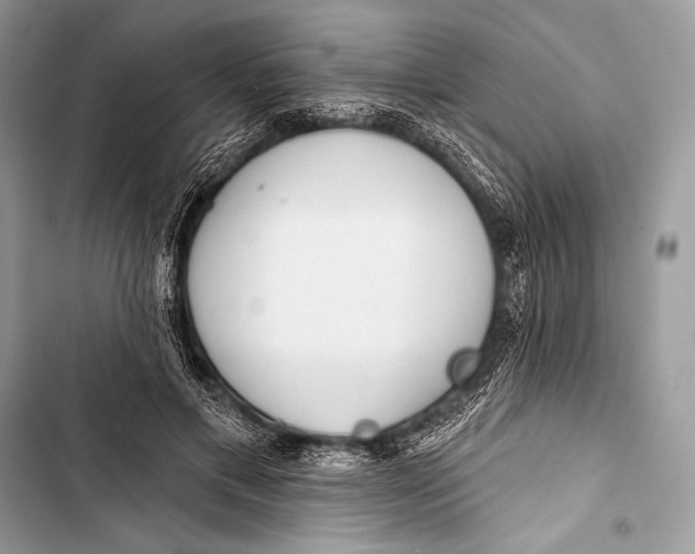 X0000103490597200810031607