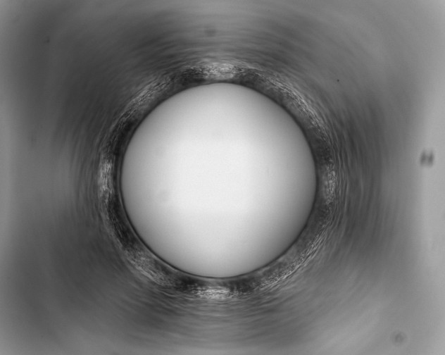 X0000103490598200810031607