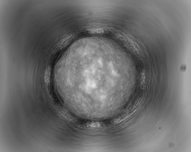 X0000103490600200810031607