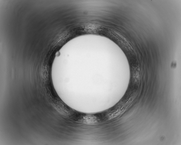 X0000103490603200810031607