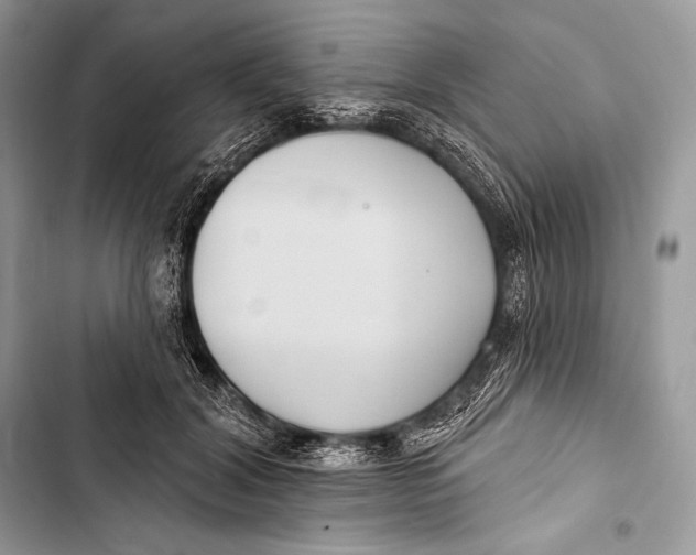 X0000103490604200810031607