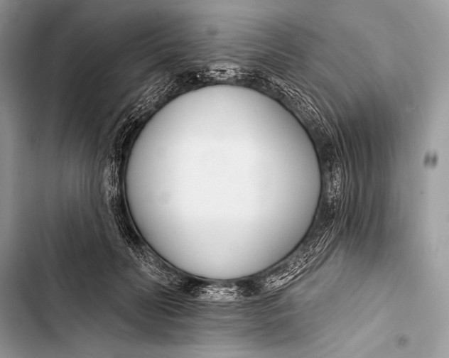 X0000103490606200810031607