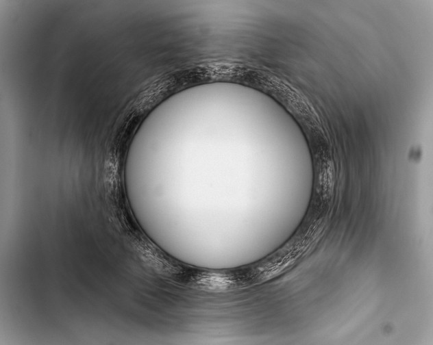 X0000103490610200810031607