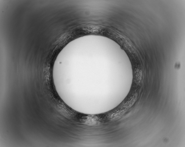 X0000103490612200810031607